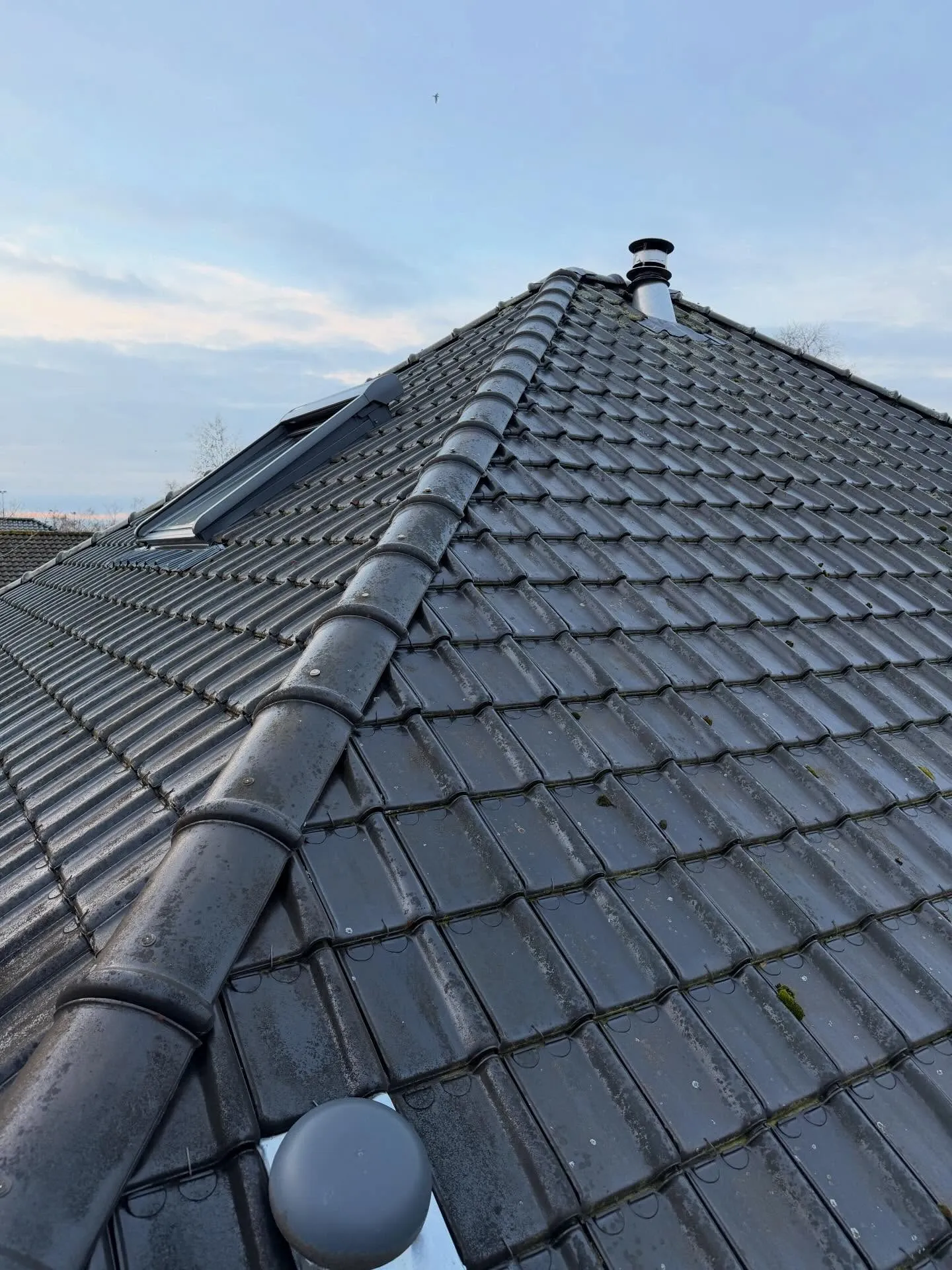 dakreparatie den bosch